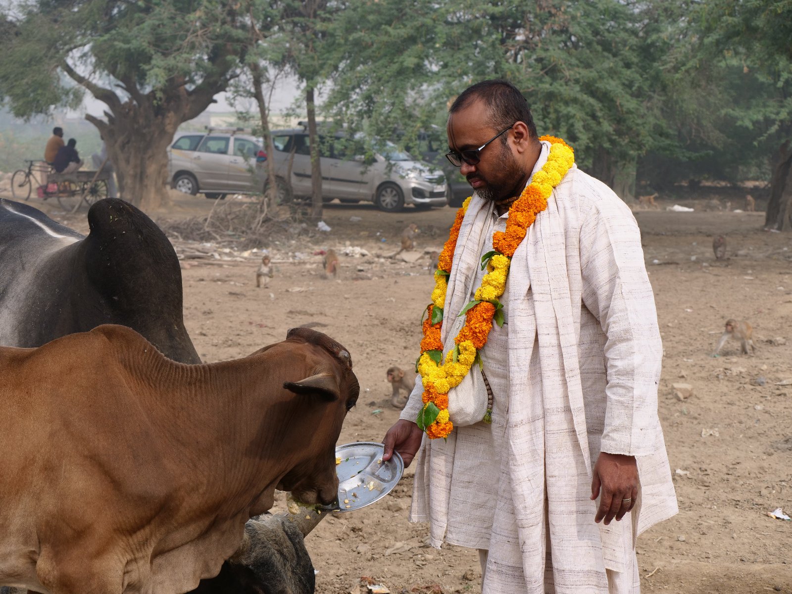  177 Gopashtami Radha kunda Govardhan 19.11.04